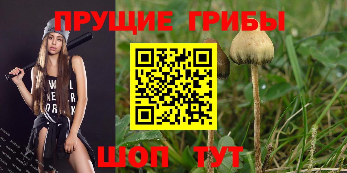 хочу наркоту  Псилоцибиновые грибы GOLDEN TEACHER  Вход с VPN  Людиново 